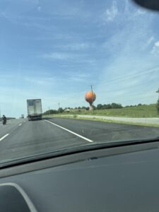 IMG_4599